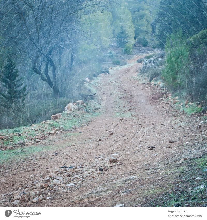 On the way.... Mountain Hiking Environment Nature Plant Elements Earth Air Autumn Weather Fog Drought Grass Bushes Hill Israel Mediterranean Dream Old Fantastic