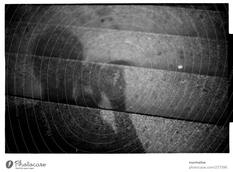 ab-or-upwards? Lifestyle Human being Head 1 Art Environment Town Stairs Sign Looking Dark Sharp-edged Trashy Gloomy Moody Esthetic Identity Calm Stagnating