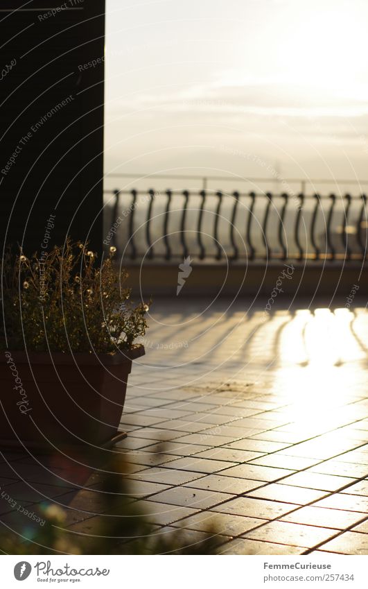 Sui tetti di Roma. House (Residential Structure) Detached house Dream house High-rise Stone Rust Ornament Stripe Relaxation Town Contentment Roof Roof terrace