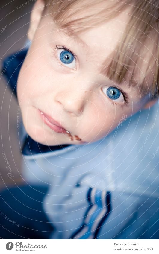 blue Human being Masculine Child Boy (child) Head Eyes 1 3 - 8 years Infancy Observe Brash Free Friendliness Happiness Fresh Beautiful Uniqueness Blue Joy