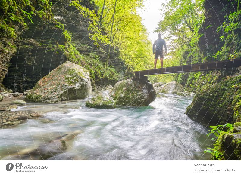 Follow the light Vacation & Travel Adventure Freedom Hiking Jogging Man Adults 1 Human being Environment Nature Landscape Plant Water Sunlight Tree Bushes Moss