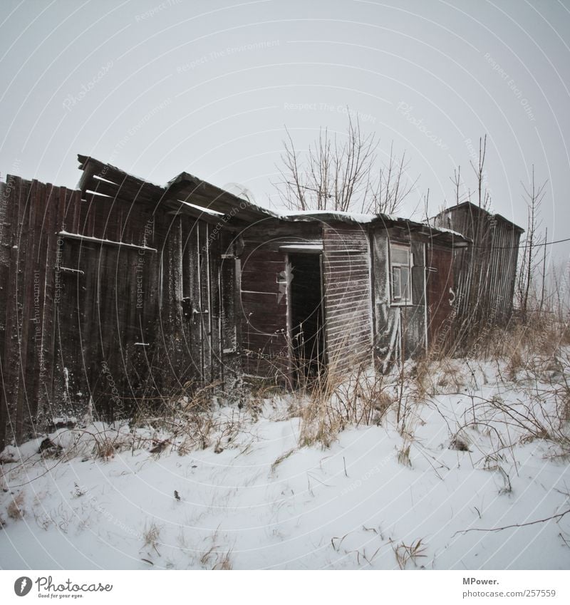 BRETTERBUDEN Hut Old Poverty Hideous Wood Snowfall Winter Broken Flat (apartment) Garage House (Residential Structure) Tilt Subdued colour Deserted