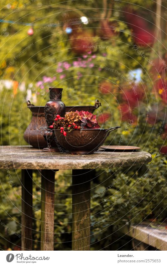 Autumn Garden Bright Table Flower Decoration Colour photo Exterior shot Deserted Copy Space left Copy Space right Copy Space top Copy Space bottom