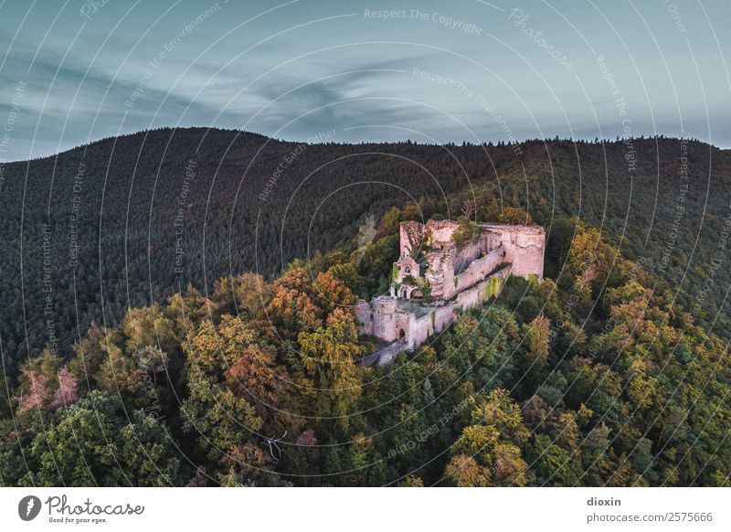 Neuscharfeneck Castle Vacation & Travel Tourism Trip Adventure Sightseeing Environment Nature Landscape Plant Tree Forest Mountain Palatinate forest