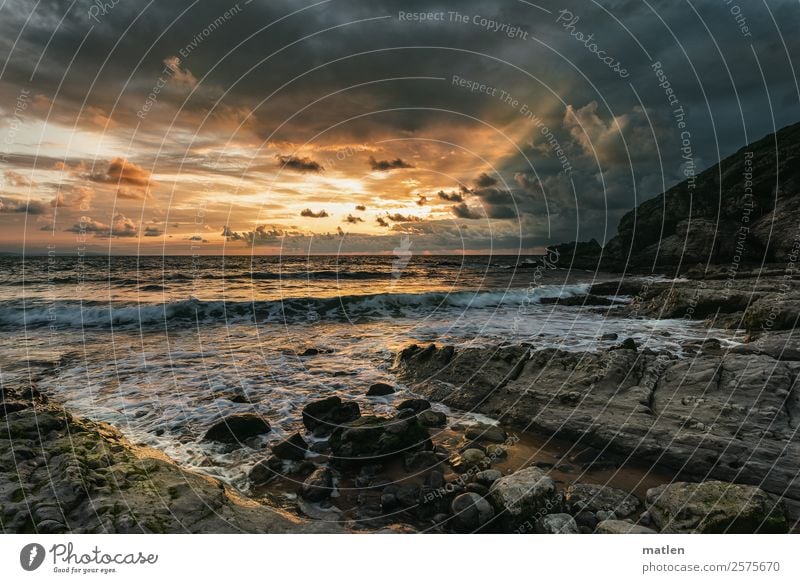 dynamic evening Nature Landscape Elements Sky Cloudless sky Storm clouds Horizon Sunrise Sunset Summer Beautiful weather Wind Rock Waves Coast Beach Bay Ocean