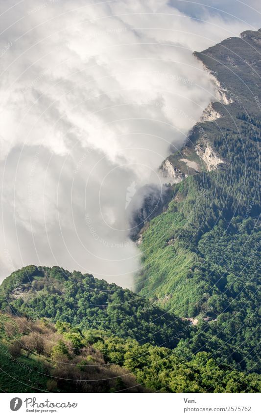 tightrope walk Landscape Plant Clouds Summer Wind Tree Forest Mountain Peak Hiking Free Fresh Green White Colour photo Multicoloured Exterior shot Deserted Day