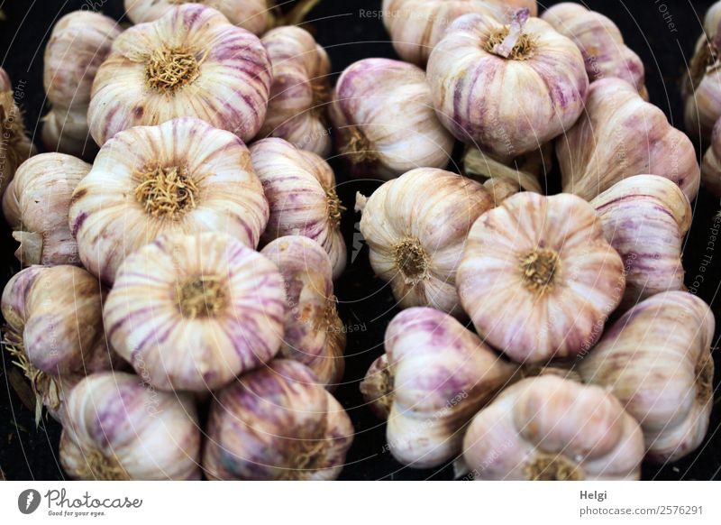 many garlic bulbs are tied together and hung to dry Food Vegetable Organic produce Vegetarian diet Garlic Thanksgiving Hallowe'en Lie Authentic Fragrance Fresh