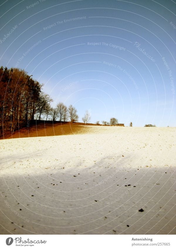 snow line Environment Nature Landscape Plant Earth Sky Cloudless sky Winter Weather Beautiful weather Ice Frost Snow Tree Grass Bushes Field Hill Stand Tall