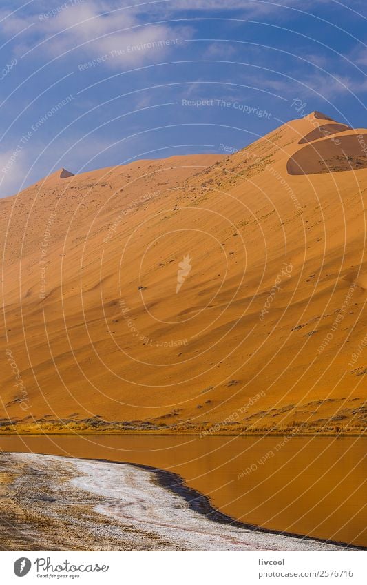 badain miao lake XIV, china Relaxation Calm Landscape Plant Sand Sky Clouds Autumn Tree Park Hill Lake Ruin Loneliness Adventure Peace China badain jaran desert