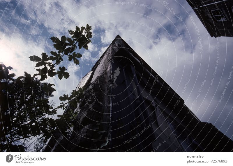 somehow corner Art Climate Climate change Weather Beautiful weather Town Deserted House (Residential Structure) Wall (barrier) Wall (building) Facade Window