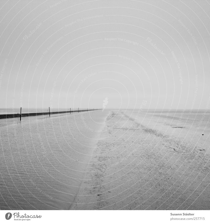 take me somwhere nice Spiekeroog Waves Coast North Sea Ocean Passion Hope Humble Break water Longing Minimalistic Low water Low tide Black & white photo