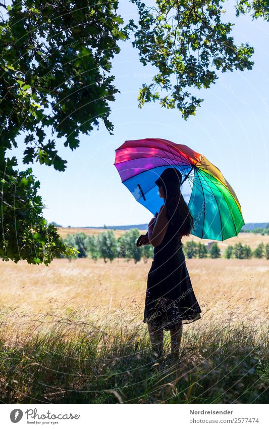 At the edge of the forest Harmonious Senses Calm Trip Human being Feminine Woman Adults Nature Landscape Cloudless sky Sun Spring Summer Beautiful weather Tree