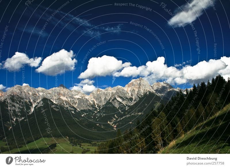 Stone Sea Relaxation Calm Vacation & Travel Far-off places Freedom Summer vacation Mountain Nature Landscape Sky Clouds Beautiful weather Plant Tree