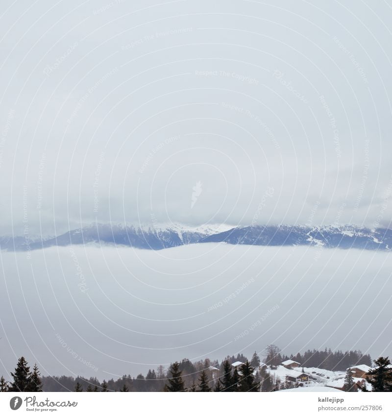 Between the clouds Environment Nature Landscape Sky Clouds Fog Hill Rock Alps Mountain Snowcapped peak Calm Switzerland Canton Wallis Valley Fir tree Winter