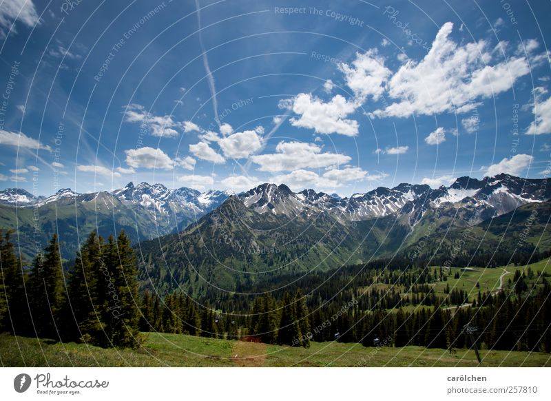 Allgäu Environment Nature Landscape Forest Mountain Blue Green Oberstdorf fellhorn Alps Blue sky Wide angle Colour photo Exterior shot Deserted Copy Space top