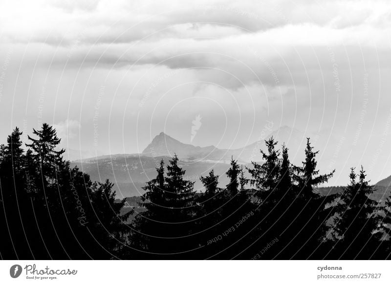 Such weather Environment Nature Landscape Clouds Storm clouds Summer Weather Bad weather Wind Rain Forest Alps Mountain Loneliness Uniqueness Experience