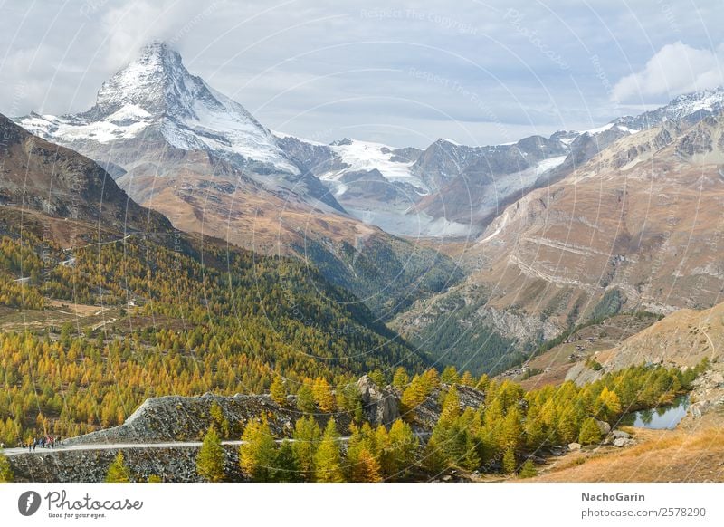 Amazing landscape of Matterhorn peak in Switzerland Environment Nature Landscape Sky Clouds Sunrise Sunset Spring Summer Weather Tree Forest Hill Rock Alps