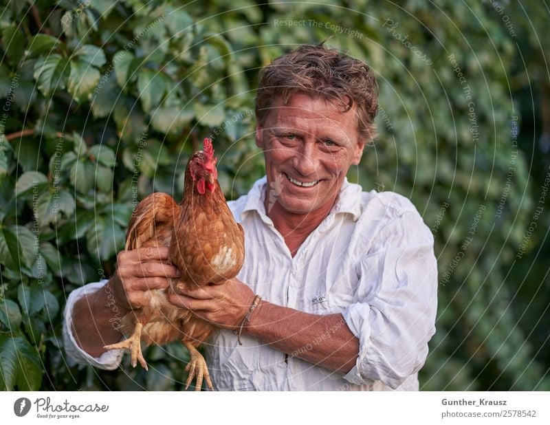 Man with chicken Human being Masculine Adults Life 1 45 - 60 years Environment Nature Beautiful weather Garden Shirt Animal Pet Farm animal Bird