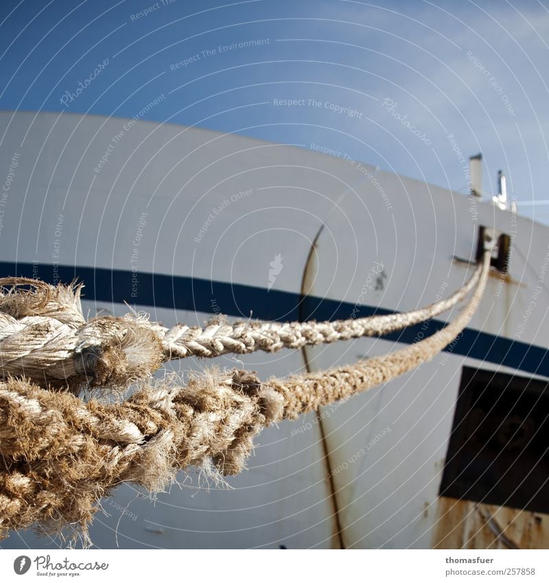 cordage Far-off places Cruise Summer Logistics Cloudless sky Sun Coast Navigation Passenger ship Cruise liner Steamer Container ship Ferry Harbour Rope Porthole