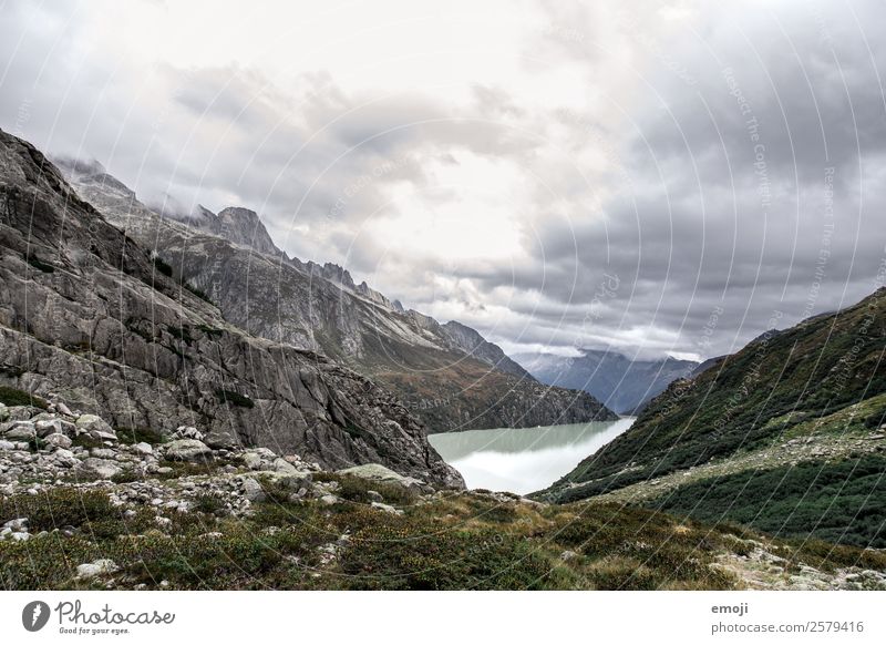 Göscheneralpsee Leisure and hobbies Class outing Environment Nature Landscape Clouds Autumn Climate Weather Mountain Lake River Exceptional Natural Green