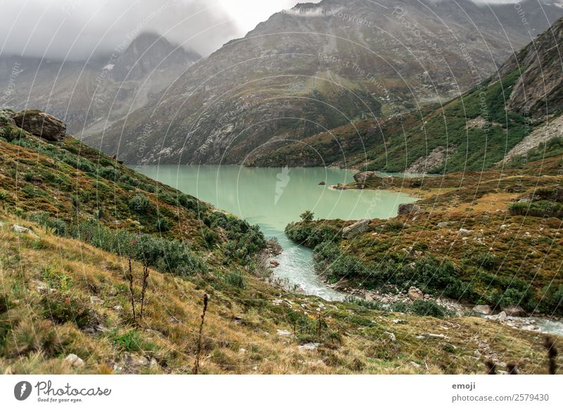 Göscheneralpsee Leisure and hobbies Class outing Environment Nature Landscape Clouds Autumn Climate Weather Mountain Lake River Exceptional Natural Green