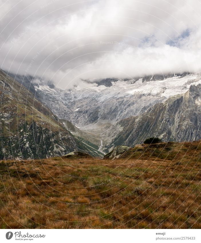 Göscheneralp Leisure and hobbies Class outing Environment Nature Landscape Clouds Autumn Climate Weather Mountain Exceptional Natural Green Tourism Switzerland