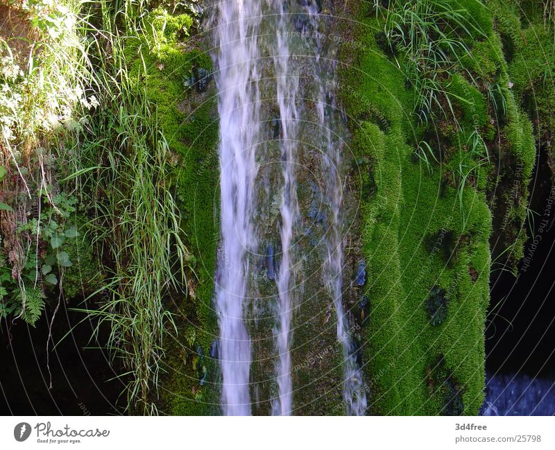 splash Green Brook Untouched Loneliness Wet Waterfall To fall Stone Rock brooks River Drops of water Nature