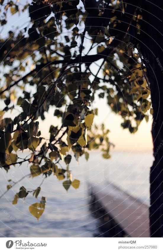 by the lake. Nature Esthetic Contentment Calm Remote Lake Garda Tree Jetty Leaf Idyll Vacation & Travel Vacation mood Vacation photo Vacation good wishes