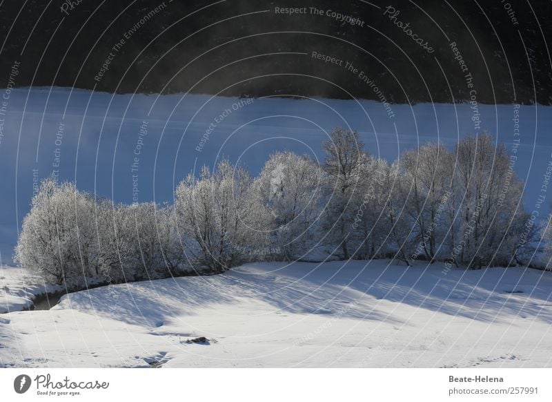 Winter morning in the Black Forest Vacation & Travel Nature Landscape Sunlight Beautiful weather Ice Frost Snow Tree Village Lanes & trails Freeze Glittering