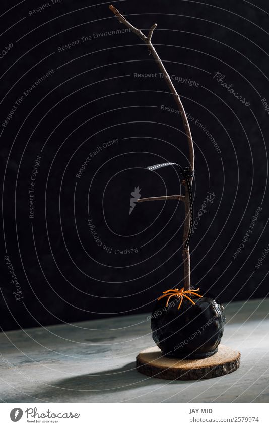 Black caramel apple and orange spider Food Apple Dessert Hallowe'en Autumn Spider Toys Eating Make Fantastic Glittering Horror Mysterious Idea Tradition Caramel