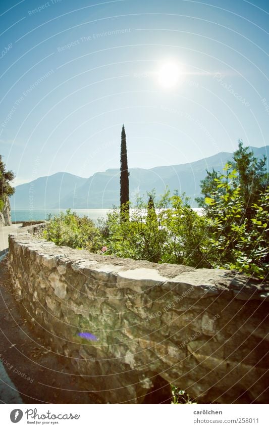 La Tortura Motoring Street Blue Green Lake Garda temosins Limone Wayside Wall (barrier) Summer Spirited Swing Vacation mood Colour photo Multicoloured