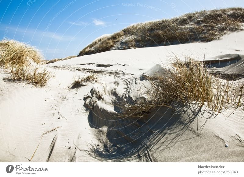 Spiekeroog | Structures Life Senses Summer Summer vacation Sun Nature Landscape Plant Sand Grass Beach North Sea Line Stripe Fresh Sustainability Blue Brown