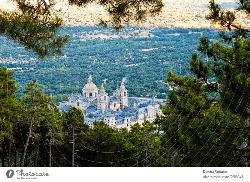 San Lorenzo de El Escorial Monastery From Above Vacation & Travel Tourism Summer Plant Tree Monasterio de San Lorenzo Church Dome Castle Places