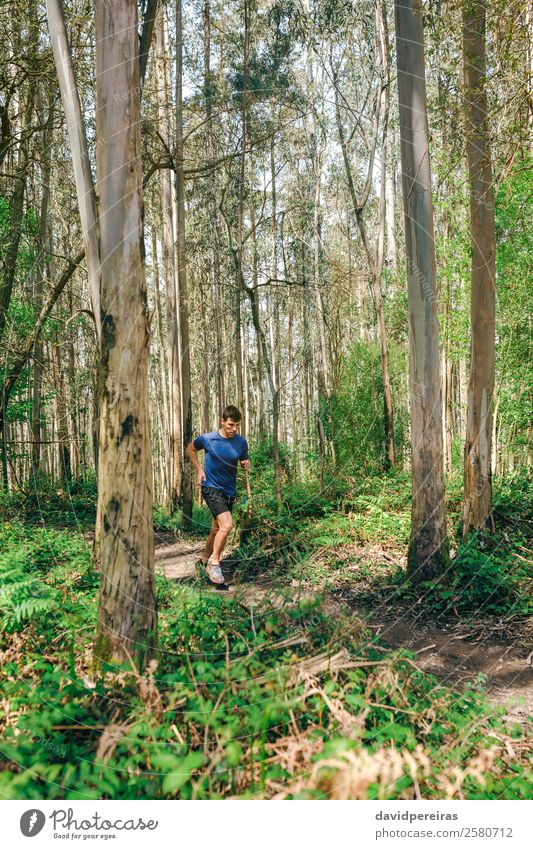 Young man doing trail Lifestyle Adventure Mountain Sports Human being Man Adults Nature Tree Forest Lanes & trails Fitness Authentic Speed Effort Energy