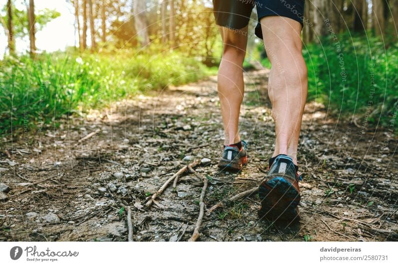 Feet of man participating in trail race Lifestyle Adventure Mountain Sports Climbing Mountaineering Human being Man Adults Nature Tree Forest Lanes & trails