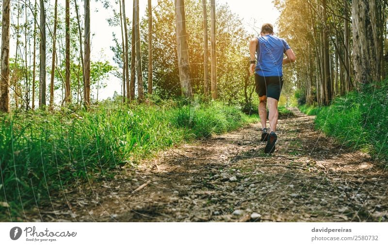 Unrecognizable man participating in trail race Lifestyle Adventure Mountain Sports Climbing Mountaineering Human being Man Adults Nature Tree Forest