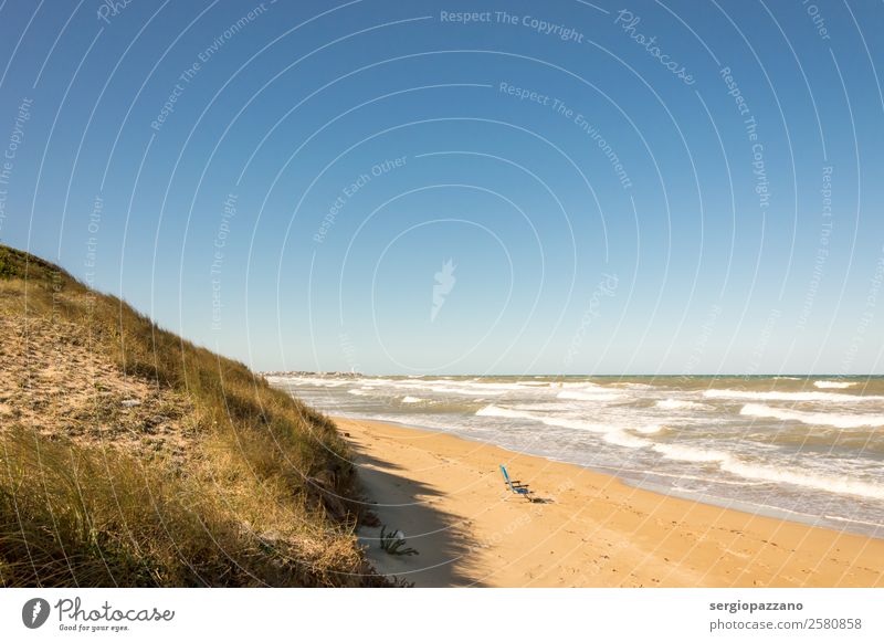 Solitary green chair on a sandy beach on Adriatic sea Armchair Chair Environment Nature Landscape Plant Water Sky Cloudless sky Summer Wind Waves Coast Beach