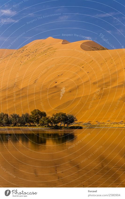 badain miao lake XIX, china Relaxation Landscape Plant Sand Sky Clouds Tree Park Hill Lake Ruin Loneliness Adventure Peace China badain jaran desert tarim