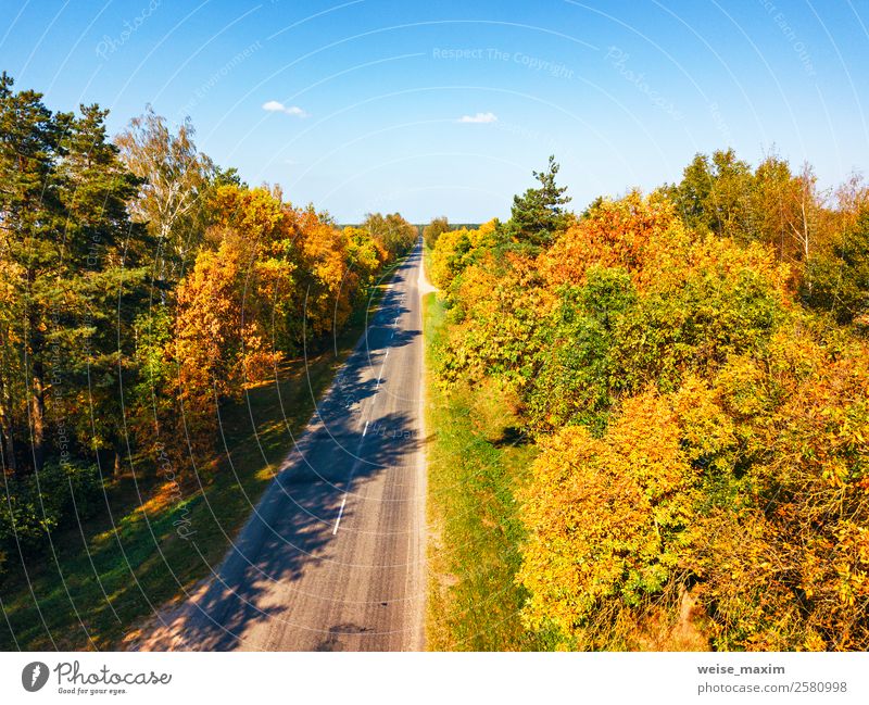 Straight road view from above. Transportation background Vacation & Travel Tourism Trip Adventure Far-off places Freedom City trip Nature Landscape Plant Sky