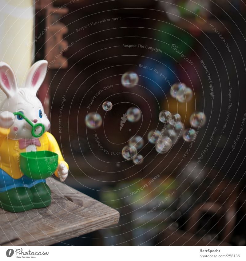 rabbit Toys Funny Soap bubble Hare & Rabbit & Bunny Toy shop Vending machine Hover Colour photo Exterior shot Copy Space top Copy Space bottom