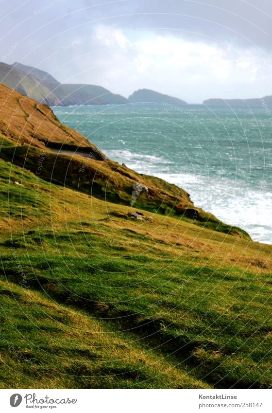 Wind and weather Relaxation Vacation & Travel Adventure Far-off places Ocean Waves Nature Landscape Water Clouds Hill Coast Fresh Bright Juicy Wild Blue Green