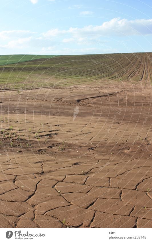 Water! Environment Nature Landscape Plant Elements Earth Sky Clouds Horizon Sunlight Summer Climate Climate change Beautiful weather Agricultural crop Field