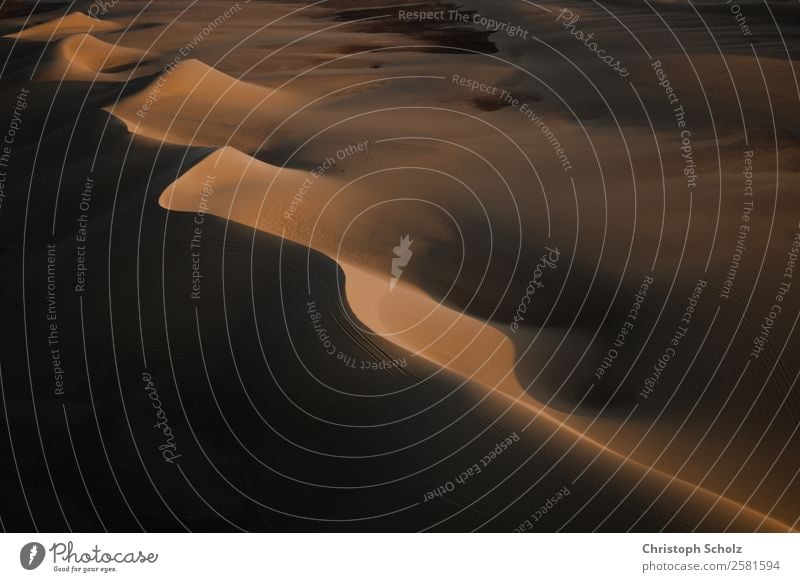 dunes and shadows Vacation & Travel Tourism Trip Adventure Far-off places Safari Summer Summer vacation Environment Nature Landscape Elements Earth Sand Horizon