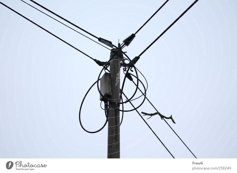 Wired and intercepted Electricity pylon Energy industry Sky Catch Contact Transmission lines Colour photo Exterior shot Deserted Day Upward