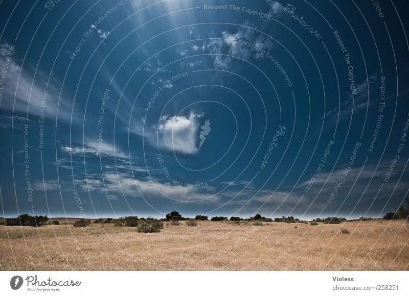 infinite expanse.... Nature Landscape Plant Sky Clouds Summer Beautiful weather Grass Discover Relaxation Joy Joie de vivre (Vitality) Vacation & Travel