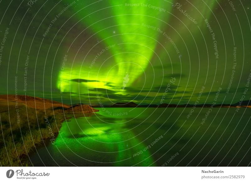 Northern lights (Aurora Borealis) reflected in the lake, Iceland Vacation & Travel Adventure Winter Nature Landscape Water Sky Night sky Stars Lake Europe Dream