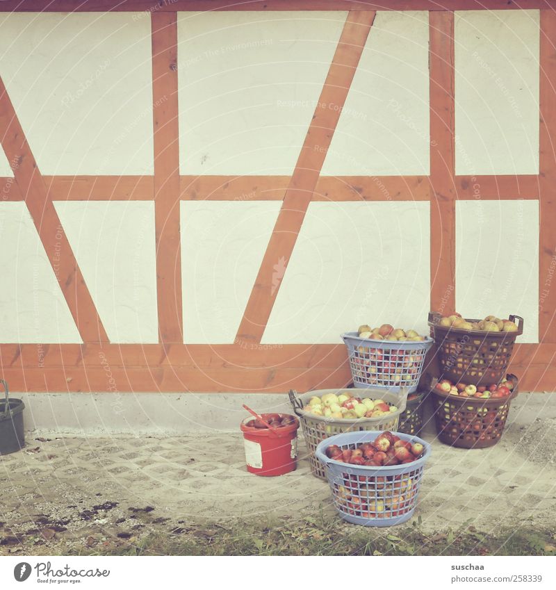 apple break in chamansülz Wall (barrier) Wall (building) Facade Half-timbered facade Agriculture Basket Apple Nutrition Fruit Bucket Wood Food Harvest