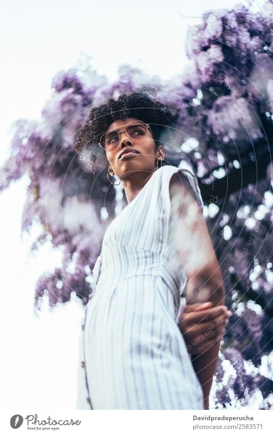 Happy young black woman surrounded by flowers Woman Blossom Spring Lilac Portrait photograph multiethnic Flower Black African Mixed race ethnicity Smiling