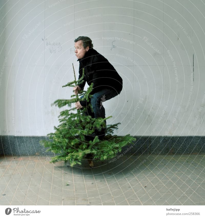 tree dance Human being Masculine Man Adults 1 Environment Nature Plant Tree Jump Fir tree Christmas tree Christmas & Advent knut Movement Balance Stand