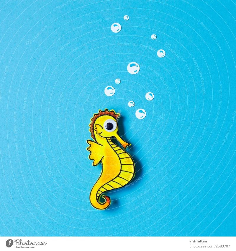 SUSI Leisure and hobbies Handicraft Foam rubber Draw Vacation & Travel Tourism Trip Adventure Freedom Ocean Environment Animal Aquarium Seahorse 1 Study